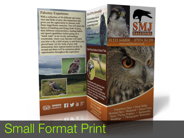Small Format printing - leaflets, menus, brochures, business cards, loyalty cards, posters, flyers, duplicate books and business stationery