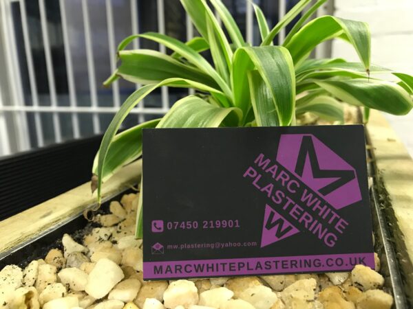 Soft Touch Matt Laminated Business Cards