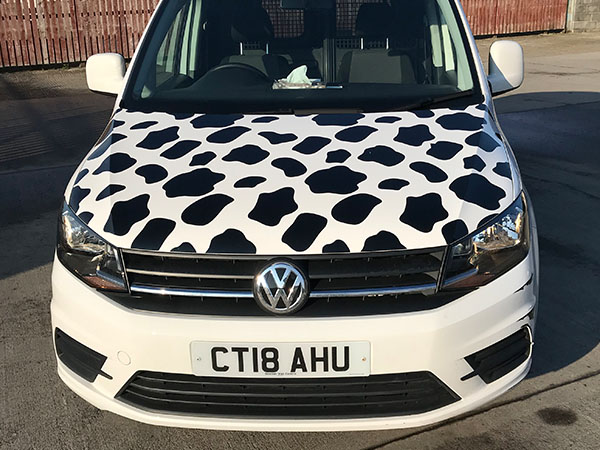 vehicle graphics and fleet vehicle graphics