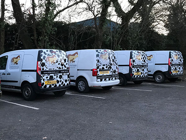 vehicle graphics and fleet vehicle graphics