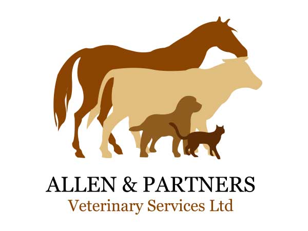 vehicle graphics and fleet graphics samples allen partners logo