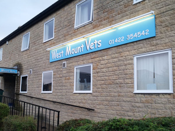 illuminated outdoor signs and signage