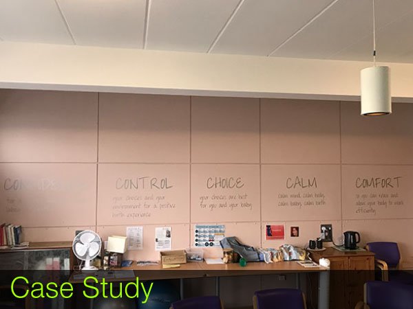 wall graphics and wall murals and feature walls