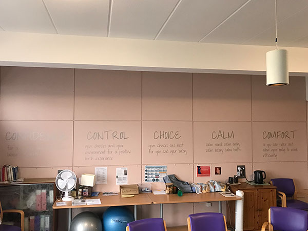 wall graphics and wall murals and feature walls