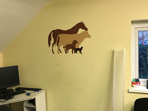 wall graphics and wall murals and feature walls