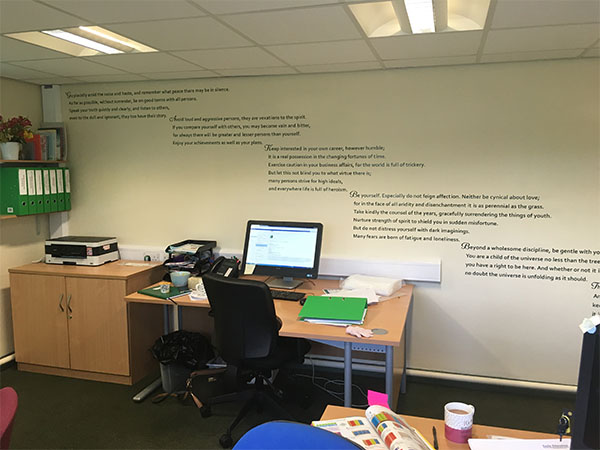 wall graphics and wall murals and feature walls