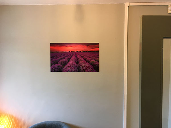 wall graphics and wall murals and feature walls