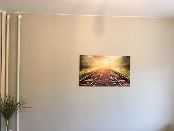 wall graphics and wall murals and feature walls