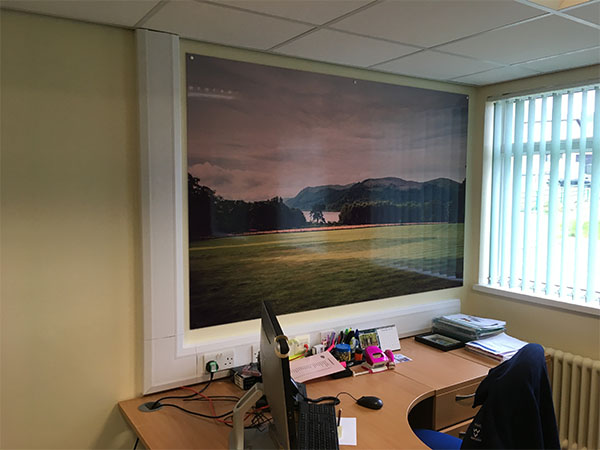 wall graphics and wall murals and feature walls