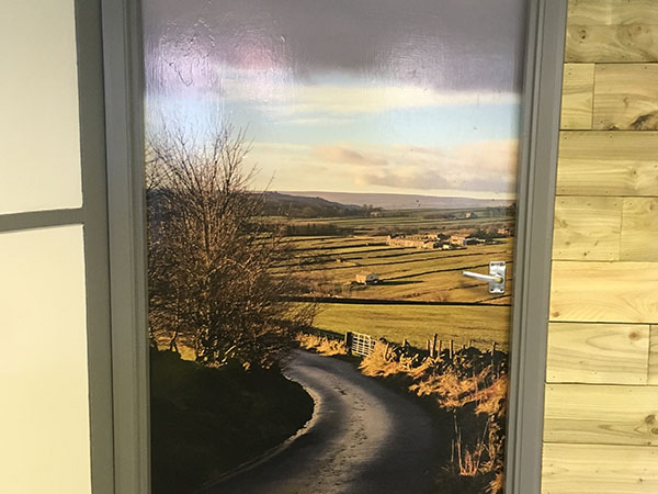 wall graphics and wall murals and feature walls