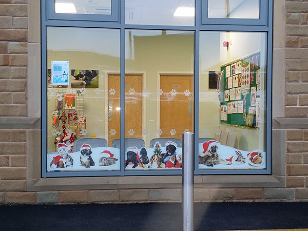 window graphics