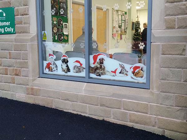 printed window graphics