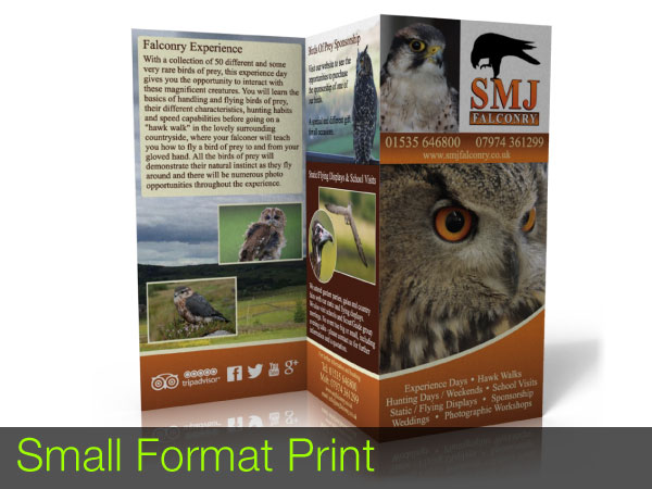 Small Format Print